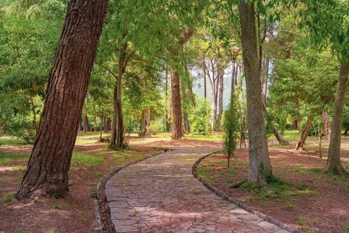 Veliki gradski park