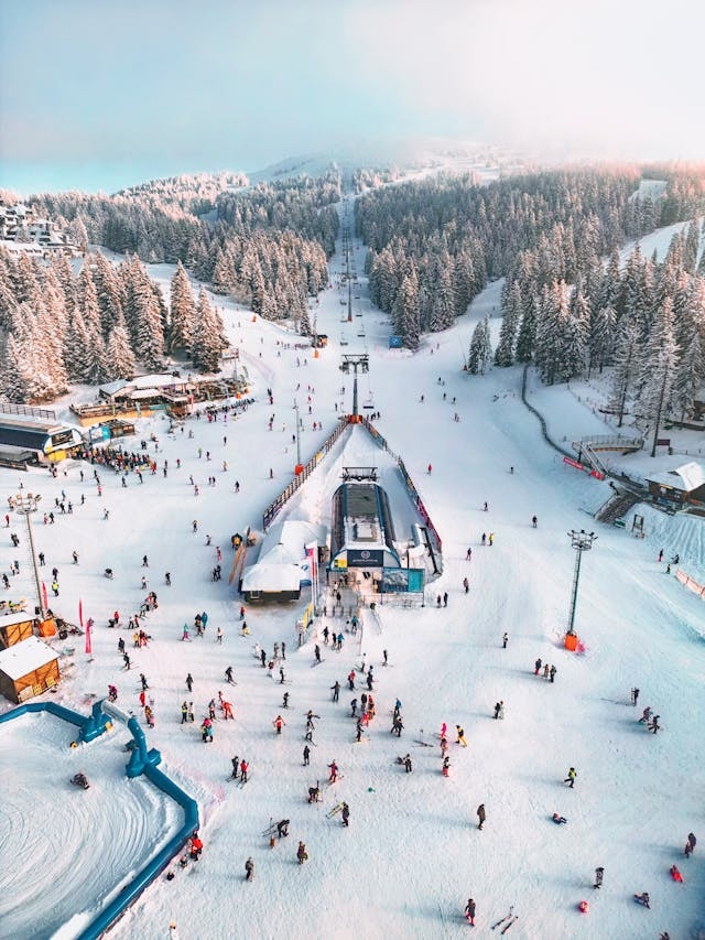 Ski centar Kopaonik