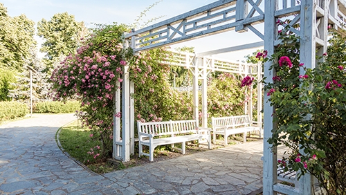 Park ruža u Temišvaru