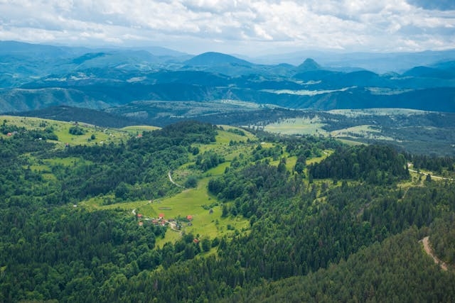 Zlatibor priroda