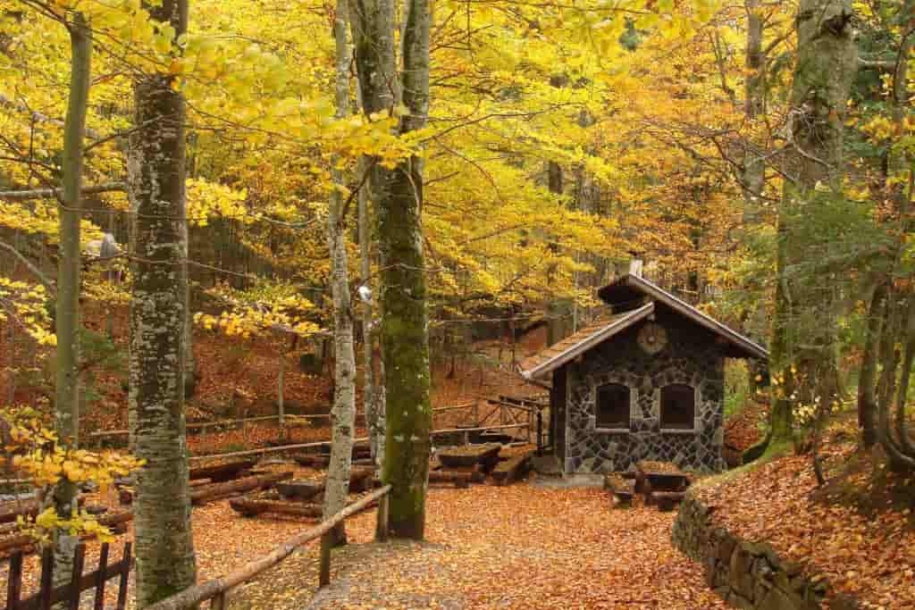 Planina Goč